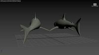 Shark Model with Texture
