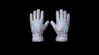 Winter Sledge Gloves