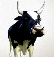 cow high-poly