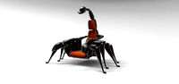 Scorpion chair