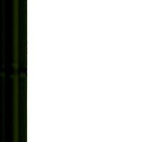 Cannabis plant 3D model