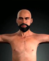 A man who has a beard