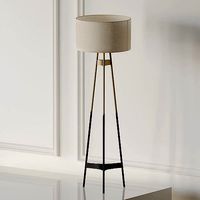 BRACE OMBRE FLOOR LAMP CB2 Exclusive