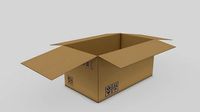 Cardboard Parcel Box Adjustable and Rigged