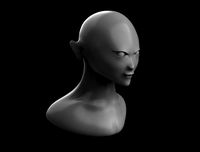 Basic female head model