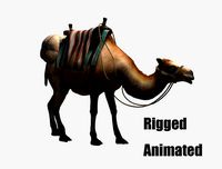 camel luggage animation