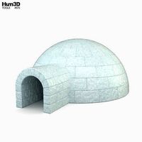 Igloo