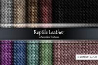 Reptile Leather 10 Seamless Texture