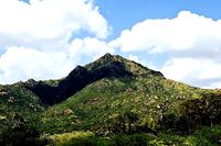 thiruvannamalai hill 3d