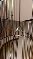 Golden Cage