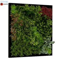 Vertical Garden 06