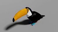 Cartoon Toucan