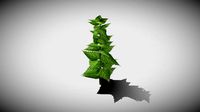 Stinging Nettle
