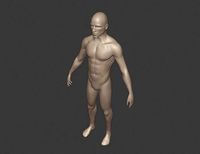 Male for sculpt
