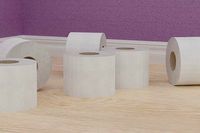 3D Toilet Paper for the WEALTHY MEN