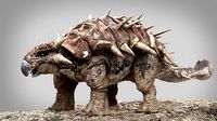 Ankylosaurus Rigged 3D model