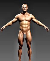 Man Body- Complete Zbrush