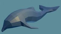 Dolphin