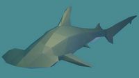 Hammerhead Shark