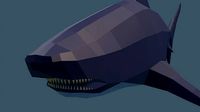 Shark