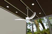 Gail Wave Ceiling Fan