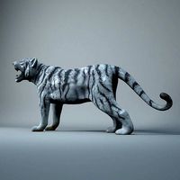 tiger 3