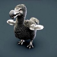 Dodo bird