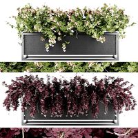 Collection plant vol 15
