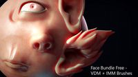 Zbrush - Free - Face IMM and VDM Bundle