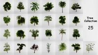 Tree Collection
