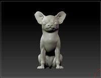 chihuahua dog solid model monochromatic