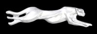tiger 3d