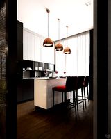 Concrete66 Apartment by Pinchuk Virovtseva Architects