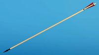 Bodkin Arrow
