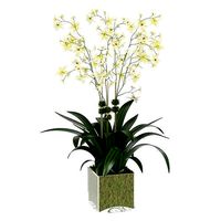 DIANE JAMES Cream Oncidium Orchid Arrangement