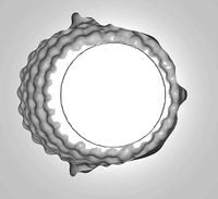 MakeIT Head And Face Top And Bottom Mold 3D Model