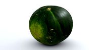 Photorealistic watermelon