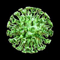 VIRUS COVID-19 Living things