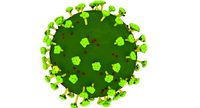 Coronavirus COVID19