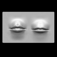 Lip 2 Free VDM Brush and Highpoly