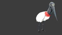 lowpoly  egret
