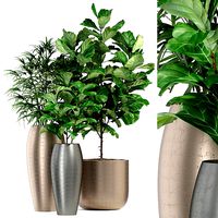 Plants collection 277 Fleurami ROYAL