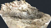 Photoscan Beach Rock 0016 only HighPoly Mesh 16K Texture