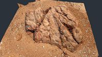 Photoscan Beach Rock 0011 only HighPoly Mesh 16K Texture
