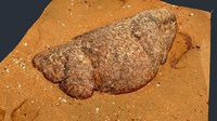Photoscan Beach Rock 0006 only HighPoly Mesh 16K Texture