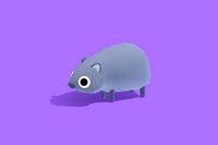 Wok the Wombat - Quirky Series