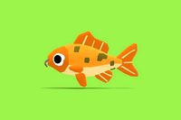 Cathy the Carp - Quirky Series