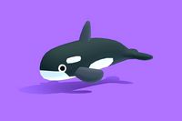 Oppa the Orca - Quirky Series