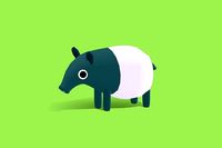 Tenuk the Tapir - Quirky Series