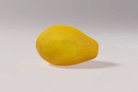 Papaya